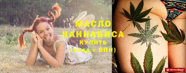 гидра Надым