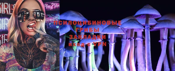 крисы Бабаево