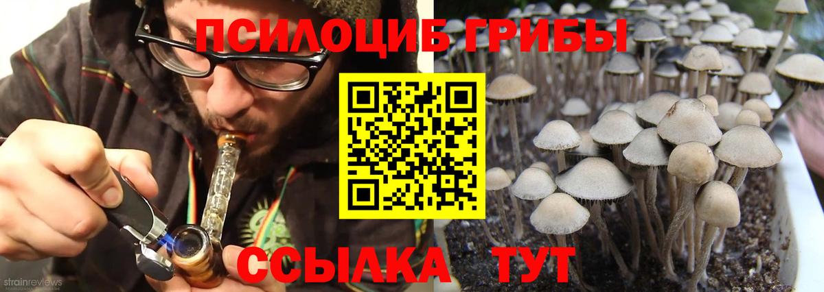 Галлюциногенные грибы MAGIC MUSHROOMS Тайшет
